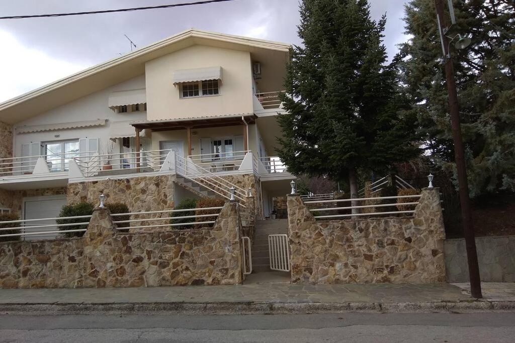 Apartament The Stone House Kozani Zewnętrze zdjęcie