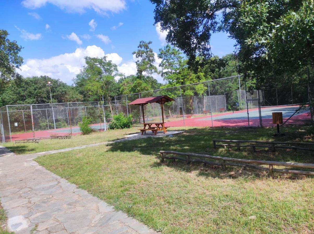 Apartament The Stone House Kozani Zewnętrze zdjęcie